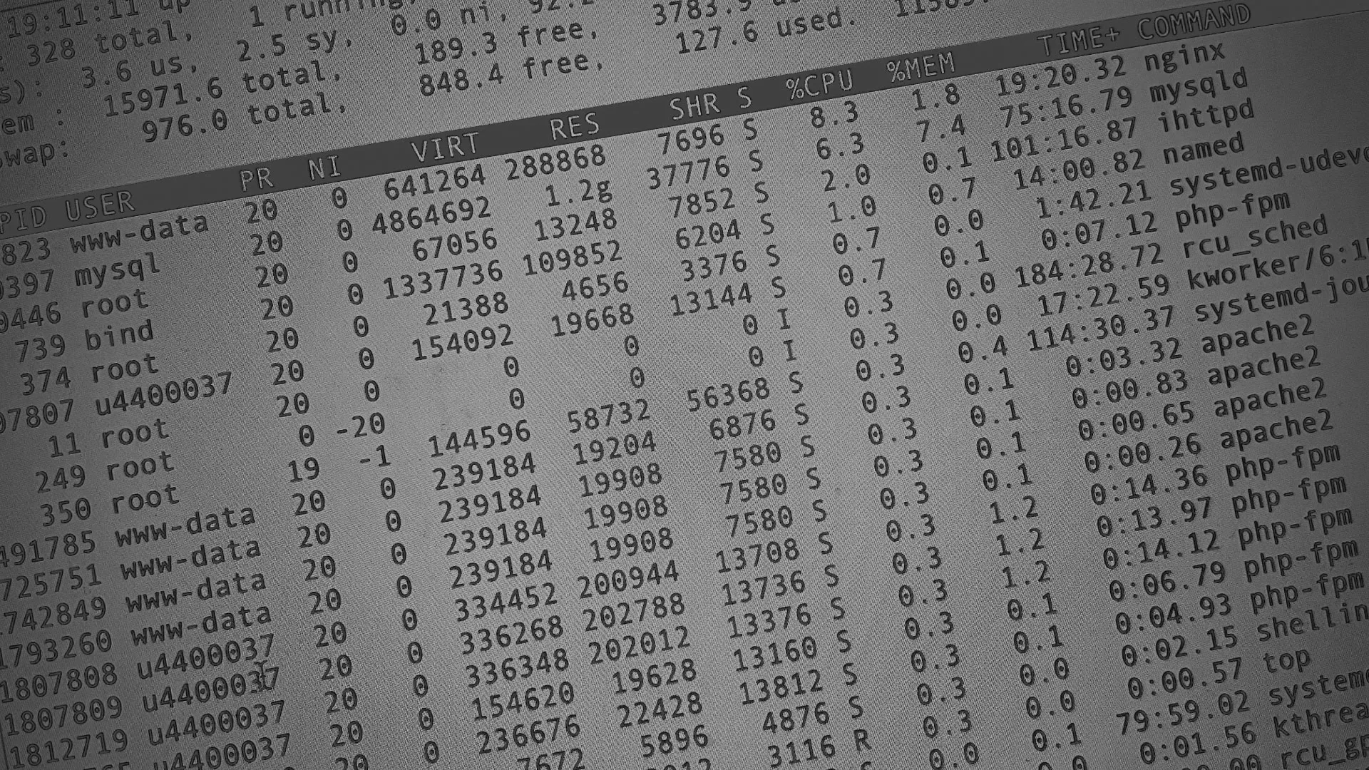 Настройка сервера в Красноармейске Настройка сервера в Красноармейске