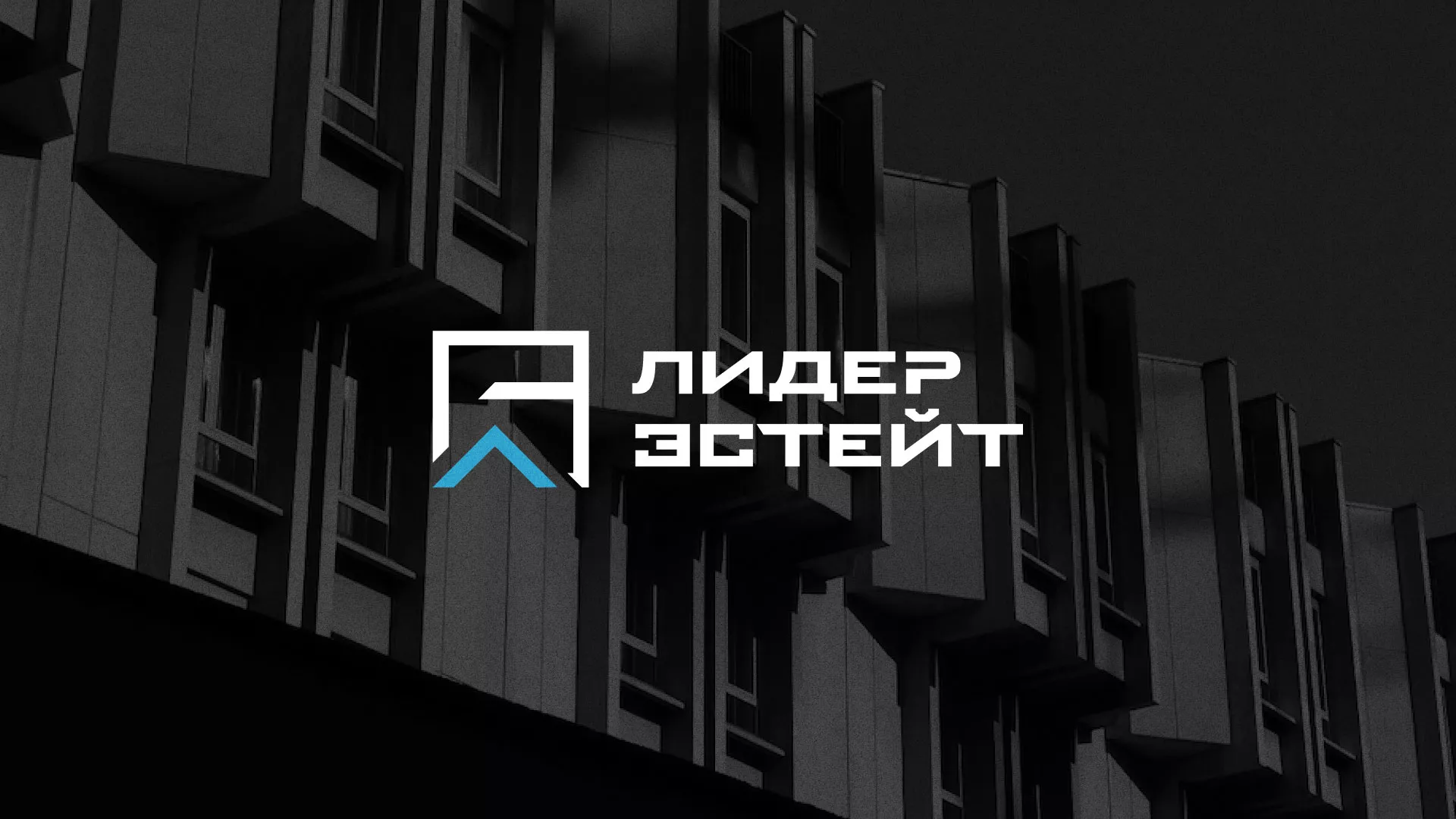 Разработка логотипа агентства недвижимости «Лидер Эстейт» в Красноармейске